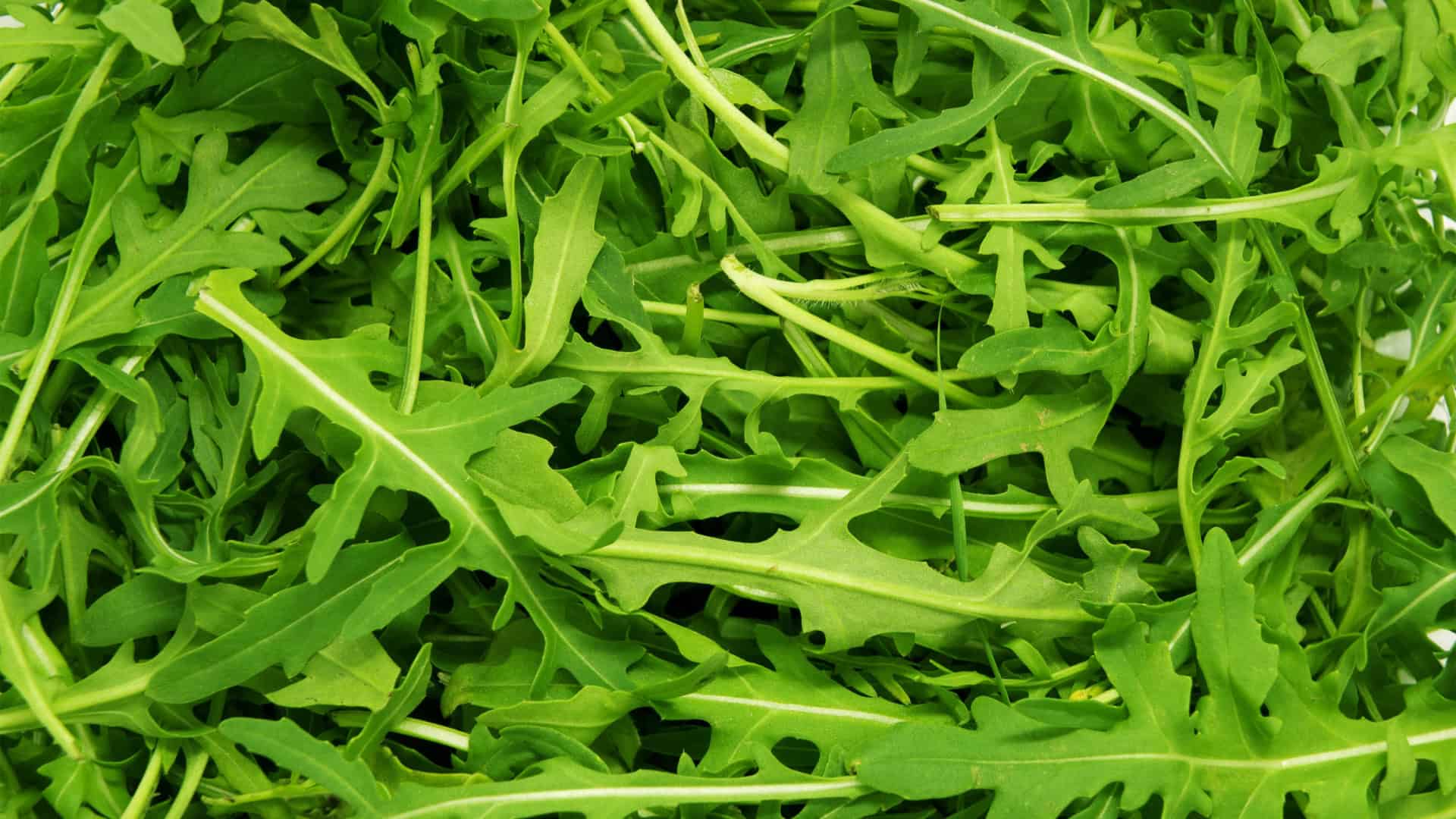 Tangy Herb